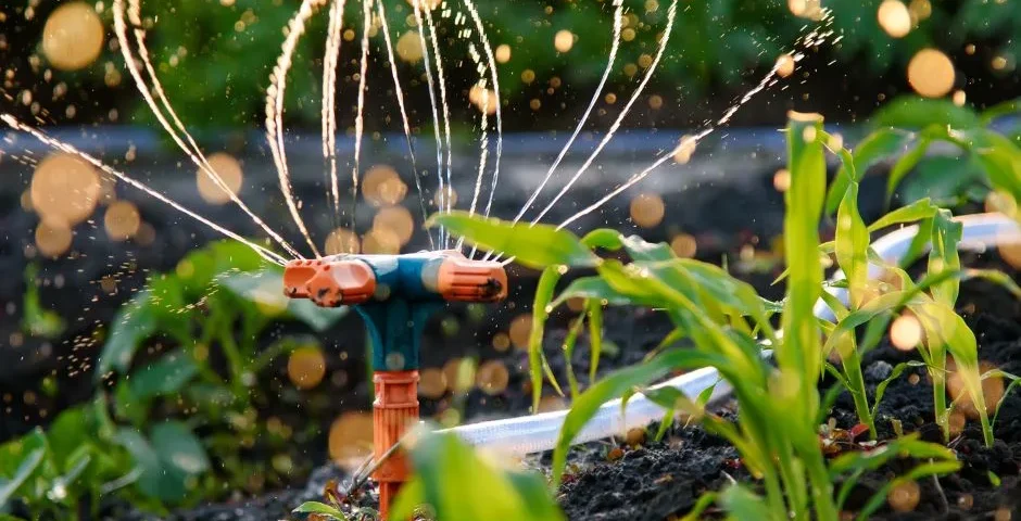 Consigli di Giardinaggio: Come Mantenere il Tuo Giardino Felice e Fiorito!