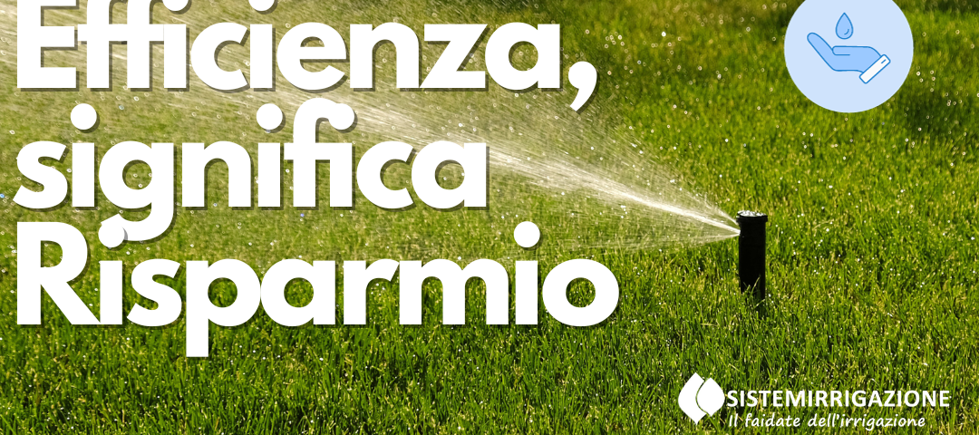 Efficienza significa Risparmio