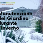 Manutenzione del Giardino durante l'Inverno: Consigli Utili per un Verde Rigoglioso tutto l'Anno