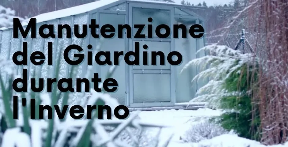 Manutenzione del Giardino durante l'Inverno: Consigli Utili per un Verde Rigoglioso tutto l'Anno