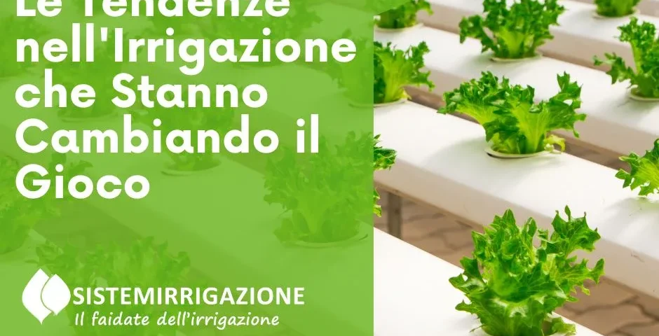 Innovazioni Rivoluzionarie: Le Tendenze nell'Irrigazione che Stanno Cambiando il Gioco