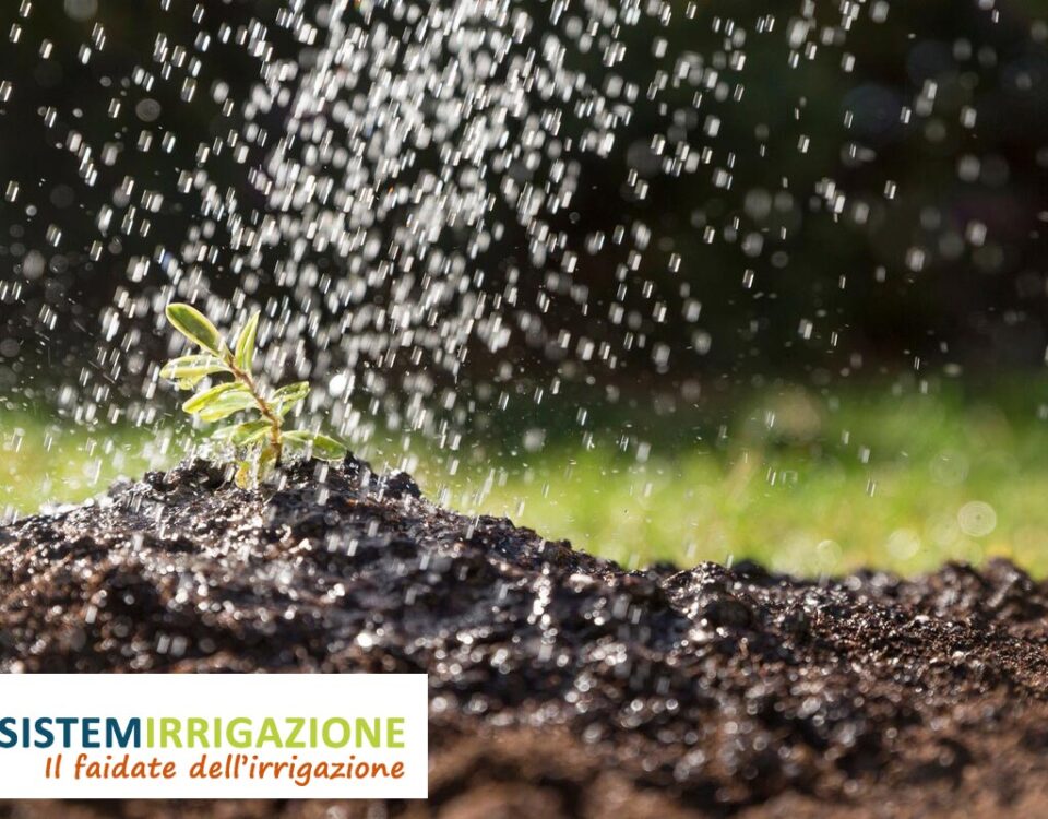 L'Irrigazione del Giardino: Perché Utilizzarla e i Suoi Vantaggi