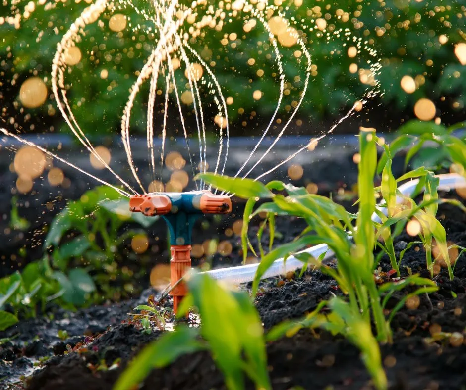 Consigli di Giardinaggio: Come Mantenere il Tuo Giardino Felice e Fiorito!