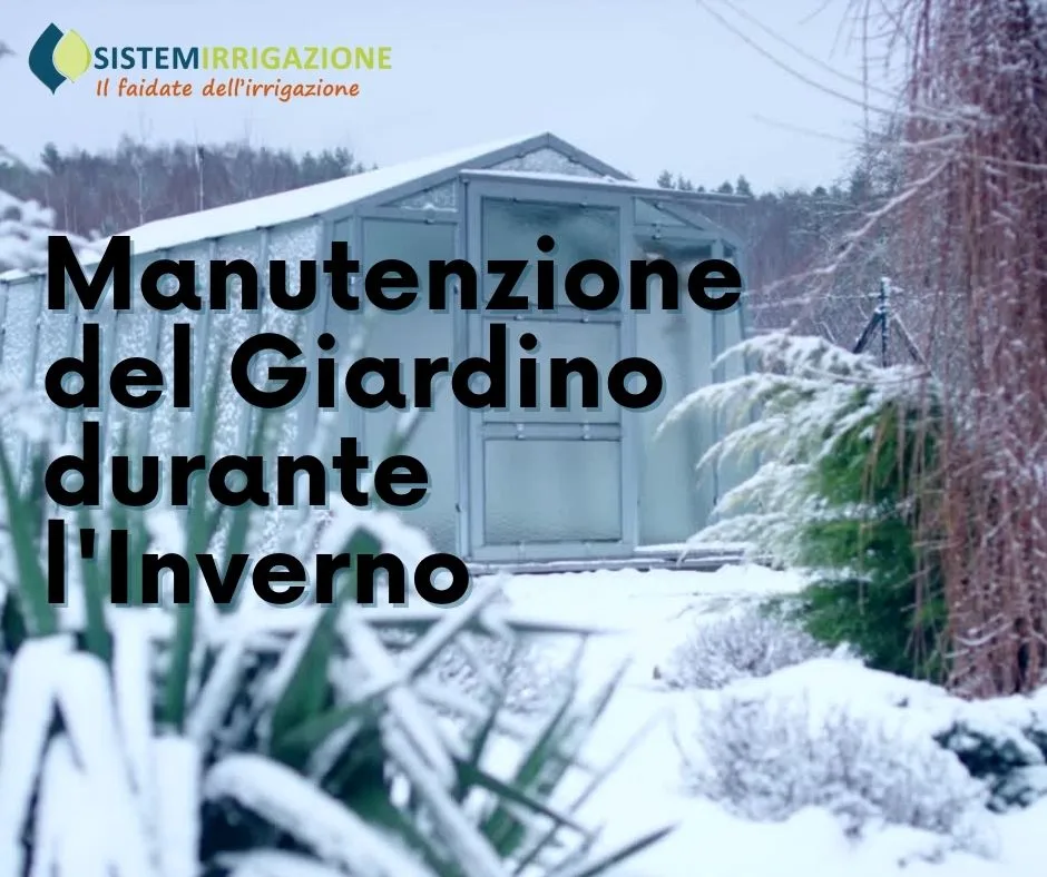 Manutenzione del Giardino durante l'Inverno: Consigli Utili per un Verde Rigoglioso tutto l'Anno